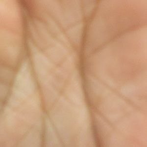 Meet your Posher, Evan